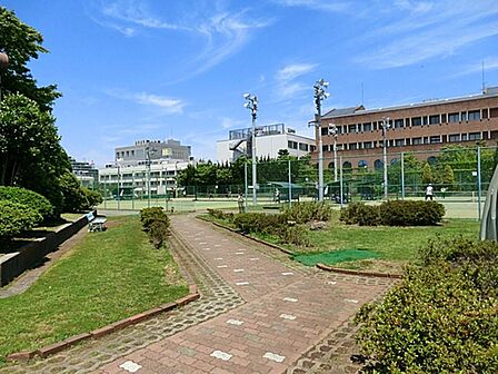 加賀一丁目公園まで約249m