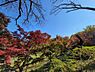周辺：武蔵野公園まで約2300m