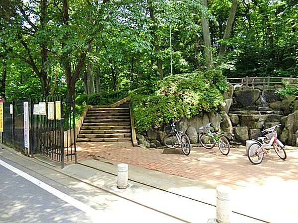 周辺を拡大表示