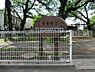 周辺：池袋本町四丁目児童遊園まで約241m