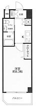 大阪府大阪市東成区玉津1丁目5-30（賃貸マンション1K・10階・24.94㎡） その2