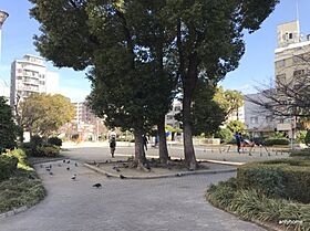 シャルマンフジ・リッツ心斎橋西  ｜ 大阪府大阪市西区南堀江1丁目（賃貸マンション3LDK・5階・67.19㎡） その1