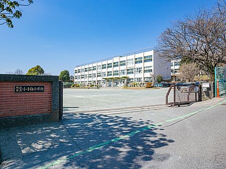 【小学校】所沢市立小手指小学校 531m