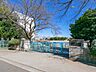 周辺：所沢市立上新井小学校　771ｍ