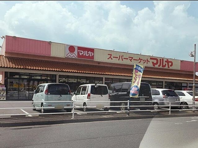 周辺 新松戸西パークハウスD棟 2階/-