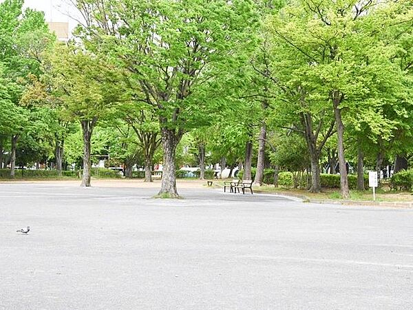 周辺を拡大表示