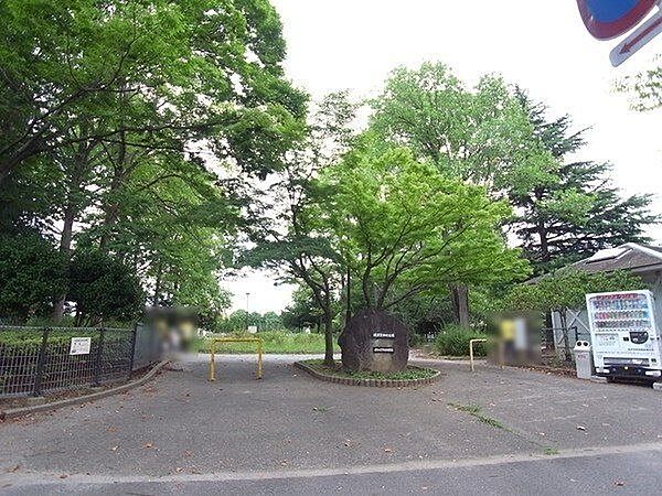 周辺を拡大表示