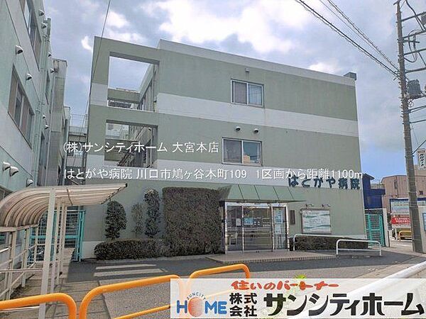 周辺を拡大表示