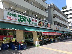 【スーパー】フジマート　月島店まで271ｍ