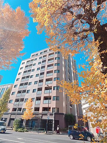 その他 サンメゾン目白高田 9階/-