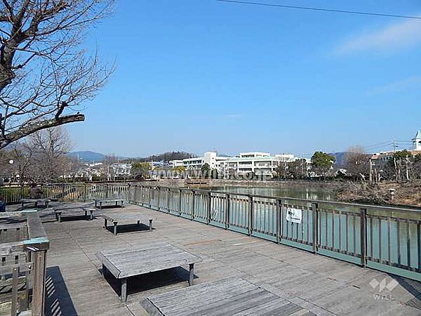 周辺を拡大表示