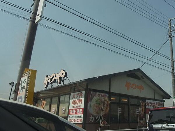画像26:【その他】かつや 平塚大神店まで3787ｍ