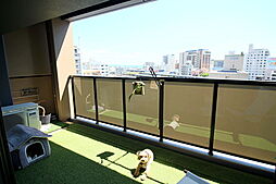 バルコニーの画像