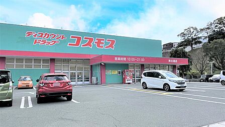 ディスカウントドラッグコスモス岸の浦店(1194m)