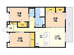 Sinfaria六本松 3LDKの間取図画像