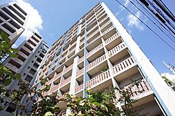 サヴォイ　テンジンスクワイヤー