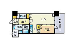 ティーエム薬院 1LDKの間取図画像
