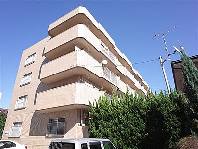 外観 外観