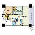 プレミスト西新クロノ12階18.0万円