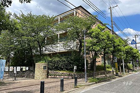 宮川小学校[公立]の外観