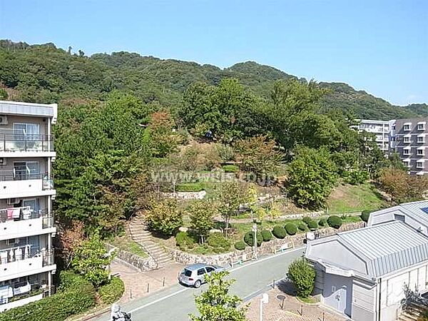 周辺を拡大表示
