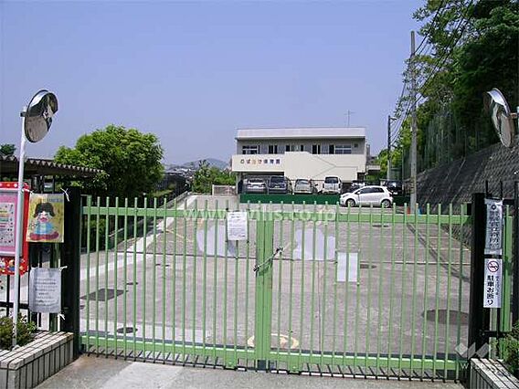 のばたけ保育園...