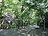 その他：並木のきれいな前面の道路