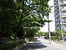 その他：敷地の西側は緑地に面しています。