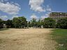 周辺：つばき公園の外観