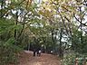 周辺：樫ノ木公園の外観