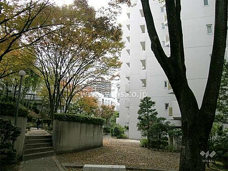 敷地内はたいへん緑豊かです。