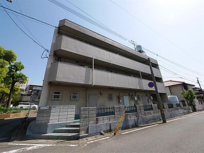 外観 外観
