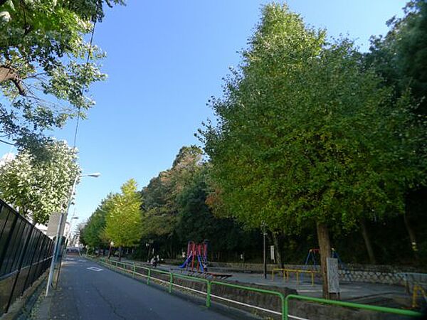 画像19:【公園】志村城山公園まで337ｍ