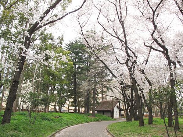 画像10:【公園】北区中央公園まで447ｍ