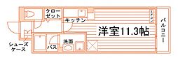 シャンティ波多江