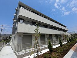 フェリス　A