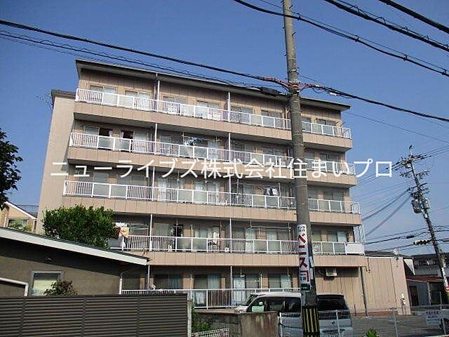 5 / 9