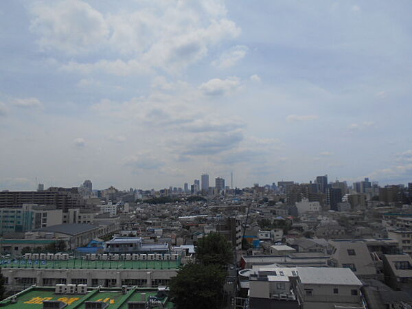 東京都板橋区本町(賃貸マンション1R・11階・29.87㎡)の写真 その10