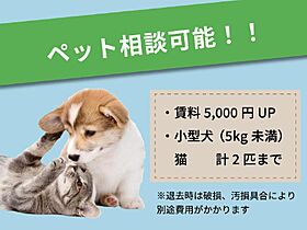 ミラコスタ岩見沢 202 ｜ 北海道岩見沢市六条西9丁目（賃貸アパート1LDK・2階・33.21㎡） その15