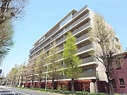 東京メトロ有楽町線 護国寺駅 徒歩8分