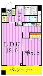 カスタリア荒川 5階