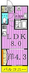 NEOグレイス綾瀬 1LDKの間取図画像