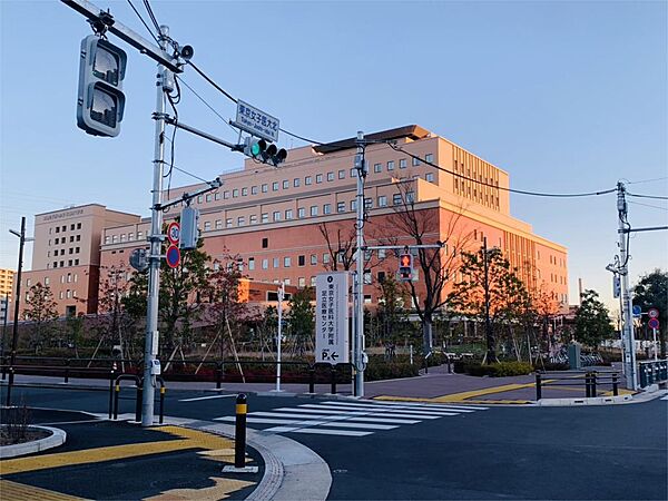 画像22:東京女子医科大学附属足立医療センター（509m）