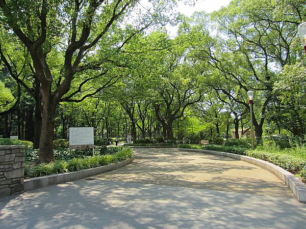 クオーレ靭公園 ｜大阪府大阪市西区靱本町３丁目(賃貸マンション1K・8階・25.03㎡)の写真 その20