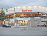 周辺：ローソン　府立植物園前店まで180メートル