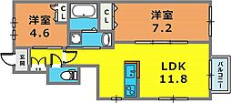 クロリス摩耶