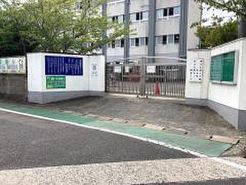 画像15:松ヶ江南小学校(230m)
