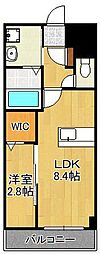 レジェンド紺屋町II 7階/-