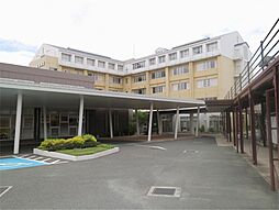 ライジングサン