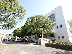 宗像市立河東中学校（598m）